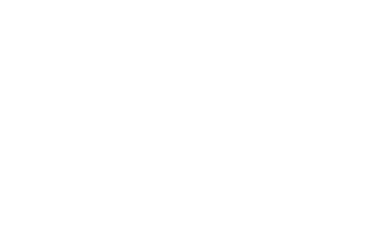 VWVP_White